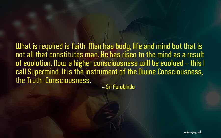 A Higher Call Quotes By Sri Aurobindo A Higher Call Quotes By Sri Aurobindo