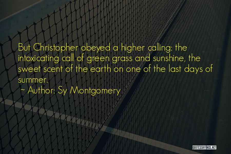 A Higher Calling Quotes By Sy Montgomery