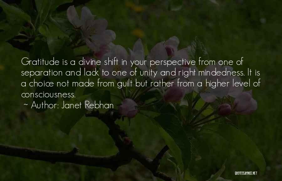 A Higher Consciousness Quotes By Janet Rebhan