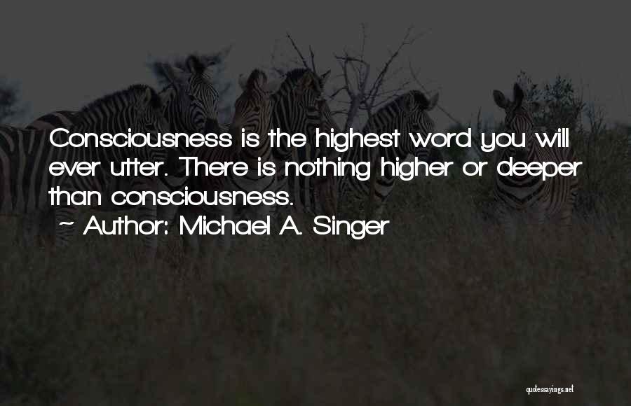 A Higher Consciousness Quotes By Michael A. Singer