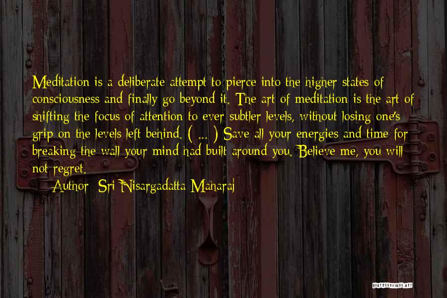 A Higher Consciousness Quotes By Sri Nisargadatta Maharaj