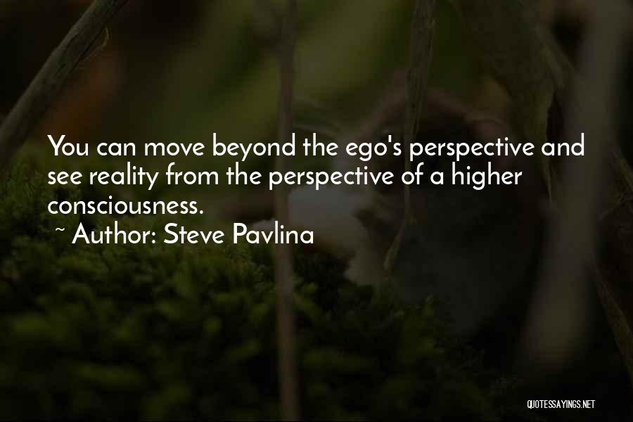 A Higher Consciousness Quotes By Steve Pavlina