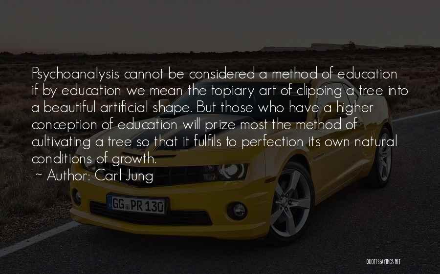A Higher Education Quotes By Carl Jung