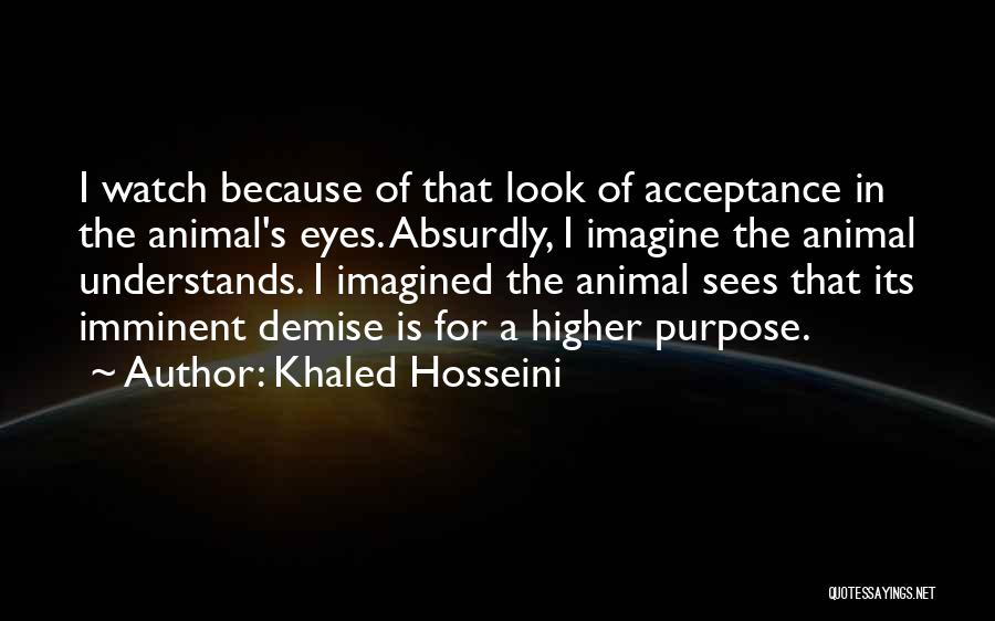 A Higher Purpose Quotes By Khaled Hosseini