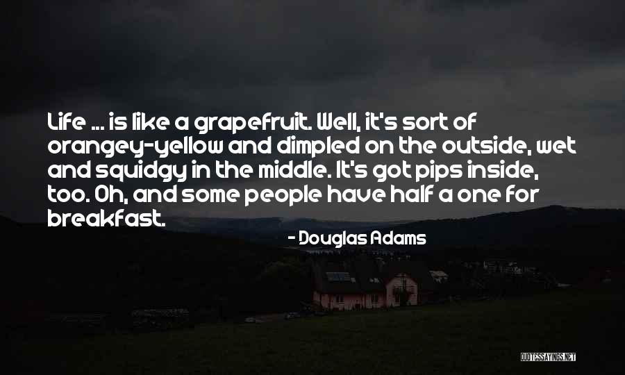 A Hitchhikers Guide To The Galaxy Quotes By Douglas Adams A Hitchhikers Guide To The Galaxy Quotes By Douglas Adams