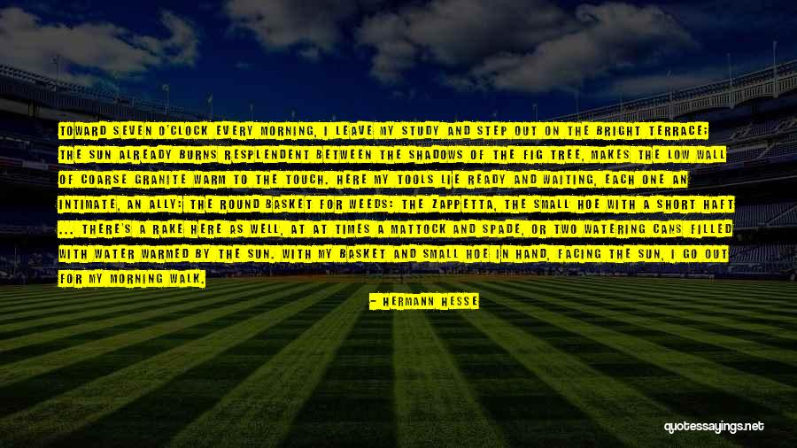 A Hoe Quotes By Hermann Hesse A Hoe Quotes By Hermann Hesse