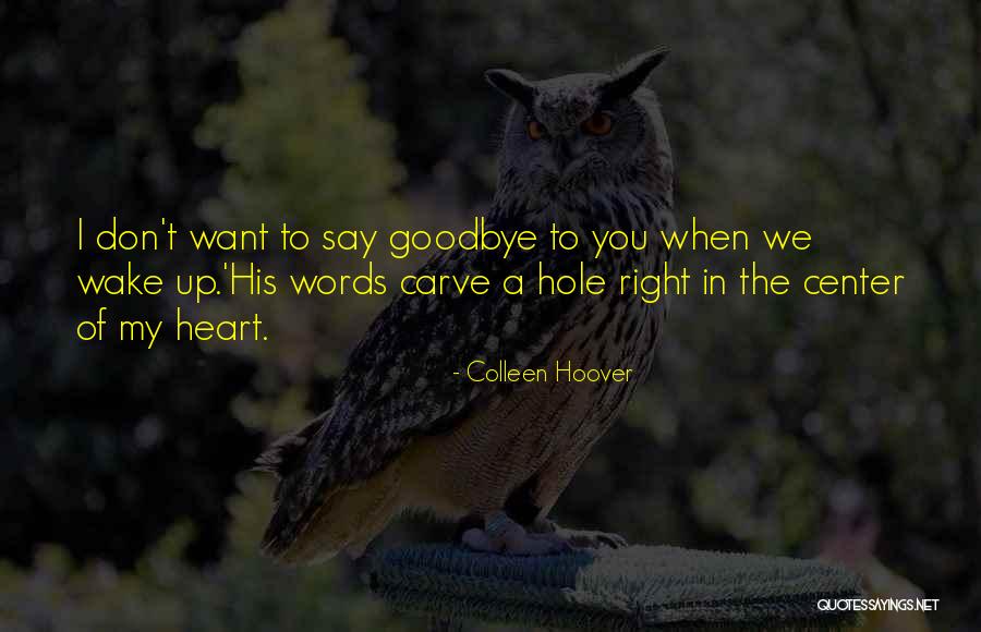 A Hole In My Heart Quotes By Colleen Hoover