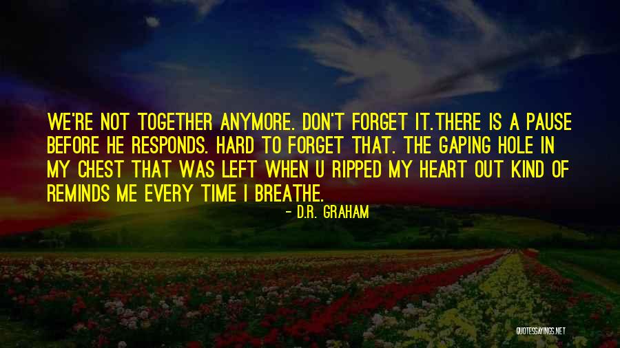 A Hole In My Heart Quotes By D.R. Graham