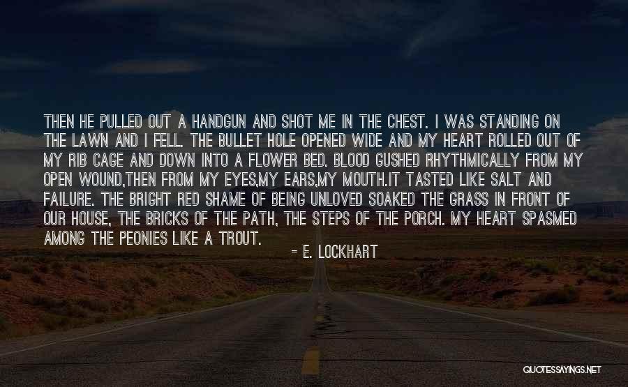 A Hole In My Heart Quotes By E. Lockhart