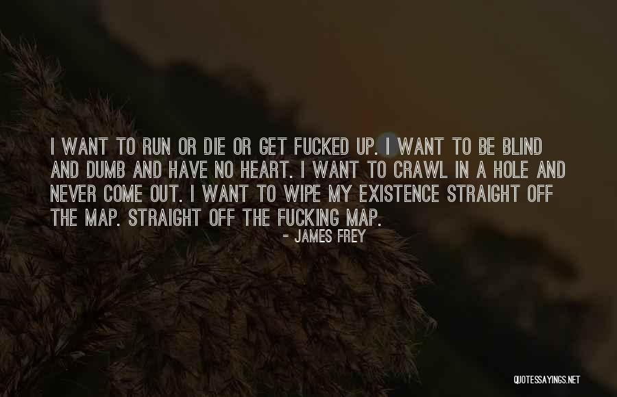 A Hole In My Heart Quotes By James Frey