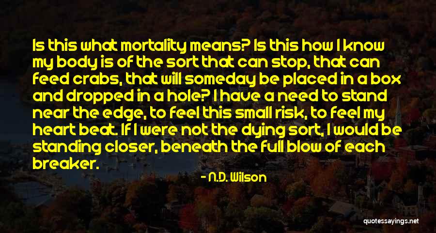 A Hole In My Heart Quotes By N.D. Wilson