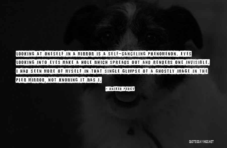 A Hole In One Quotes By Walker Percy A Hole In One Quotes By Walker Percy