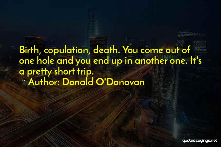 A Hole Quotes By Donald O'Donovan