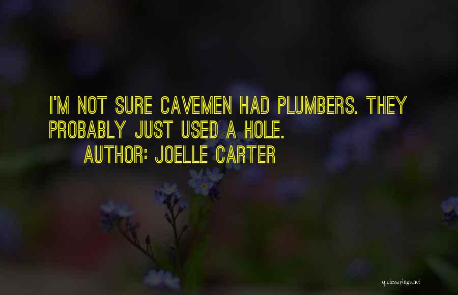 A Hole Quotes By Joelle Carter