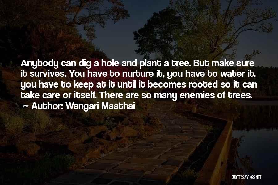 A Hole Quotes By Wangari Maathai