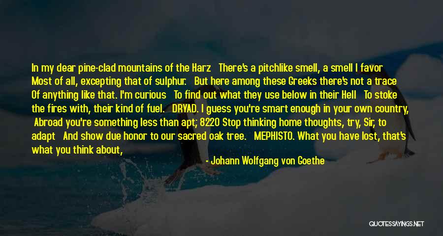 A Home Of Our Own Quotes By Johann Wolfgang Von Goethe A Home Of Our Own Quotes By Johann Wolfgang Von Goethe