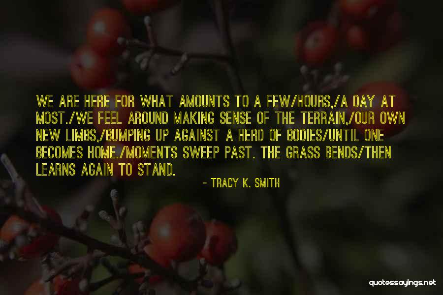 A Home Of Our Own Quotes By Tracy K. Smith A Home Of Our Own Quotes By Tracy K. Smith