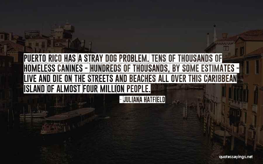 A Homeless Dog Quotes By Juliana Hatfield A Homeless Dog Quotes By Juliana Hatfield