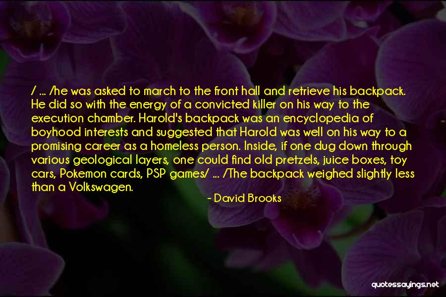 A Homeless Person Quotes By David Brooks A Homeless Person Quotes By David Brooks