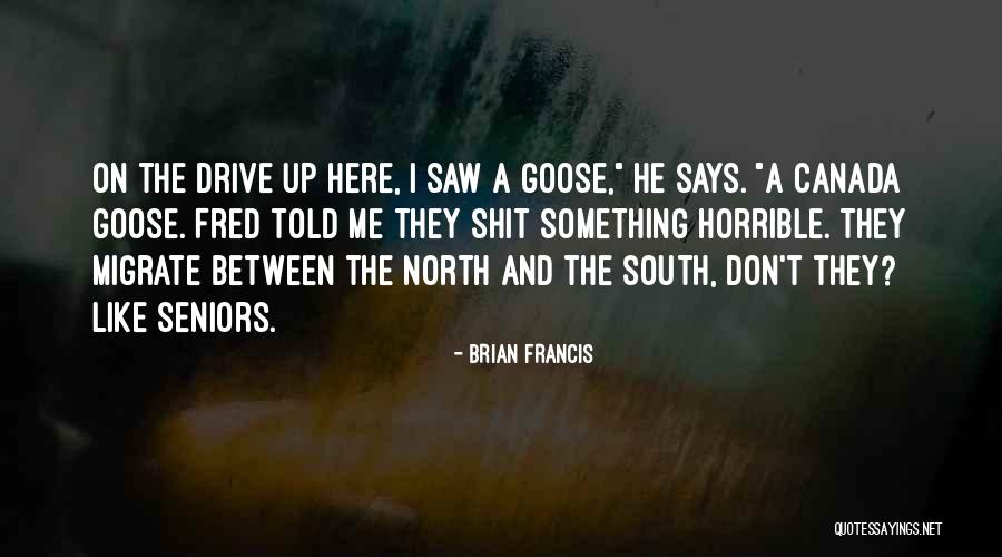 A Horrible Mother Quotes By Brian Francis A Horrible Mother Quotes By Brian Francis