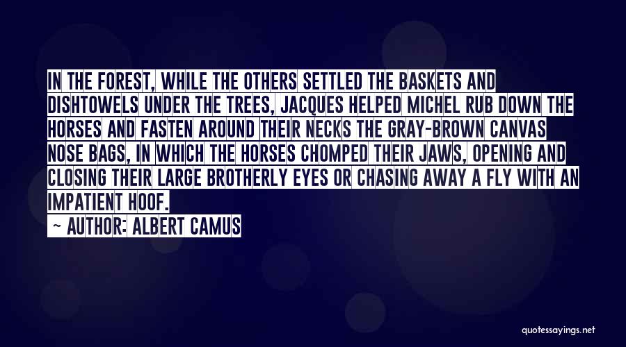 A Horses Eyes Quotes By Albert Camus