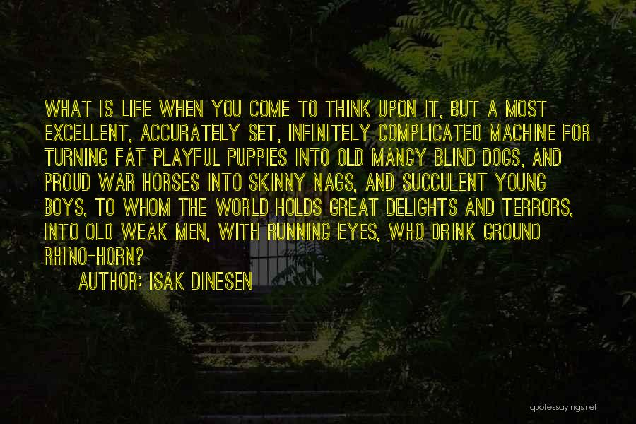 A Horses Eyes Quotes By Isak Dinesen