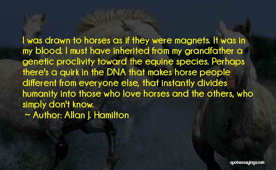 A Horse's Love Quotes By Allan J. Hamilton