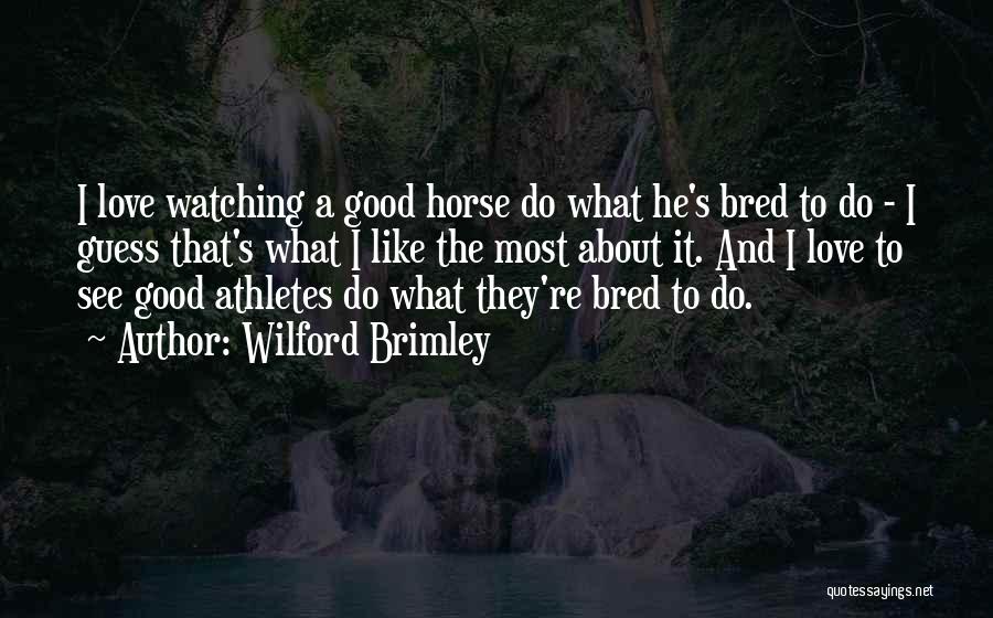 A Horse's Love Quotes By Wilford Brimley