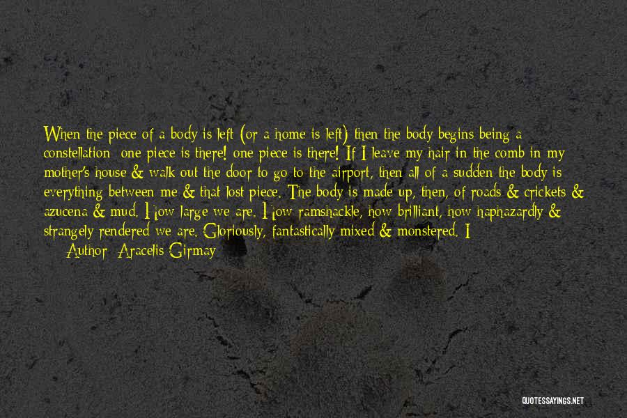 A House Being A Home Quotes By Aracelis Girmay