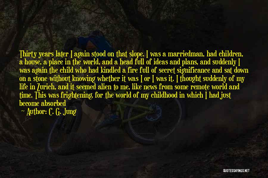 A House On Fire Quotes By C. G. Jung