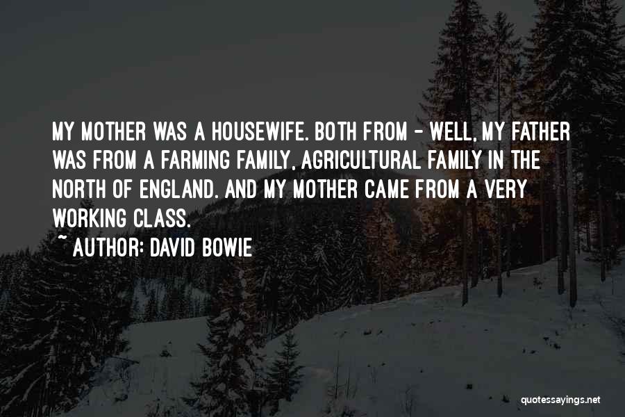 A Housewife Quotes By David Bowie