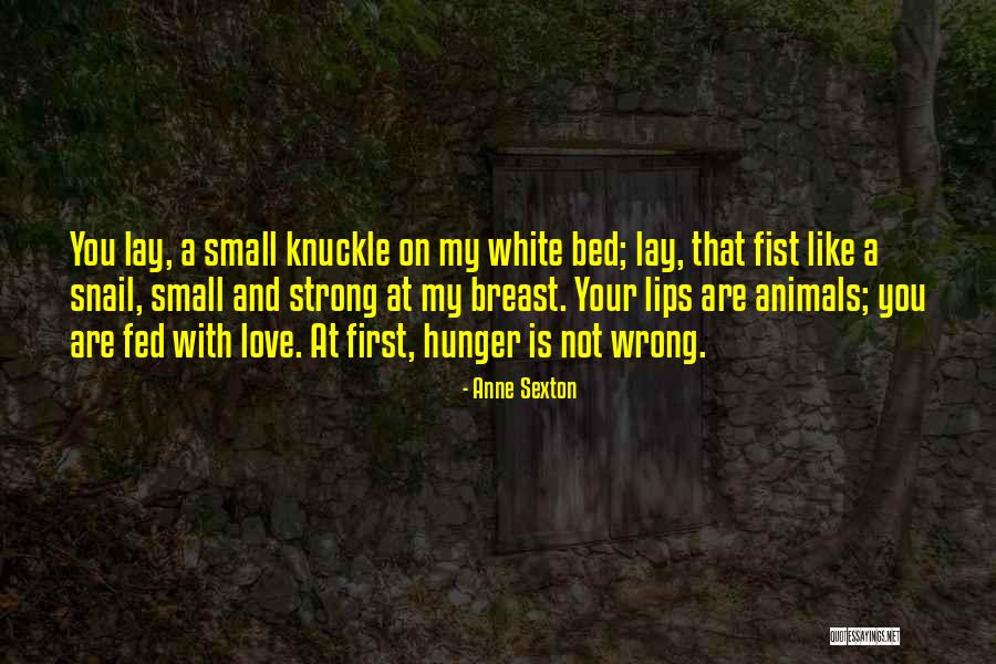 A Hunger Like No Other Quotes By Anne Sexton