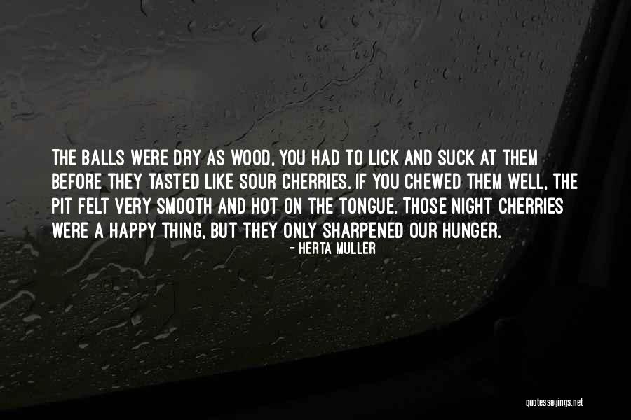 A Hunger Like No Other Quotes By Herta Muller