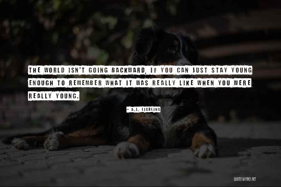 A.J. Liebling Quotes 1032389 A.J. Liebling Quotes 1032389