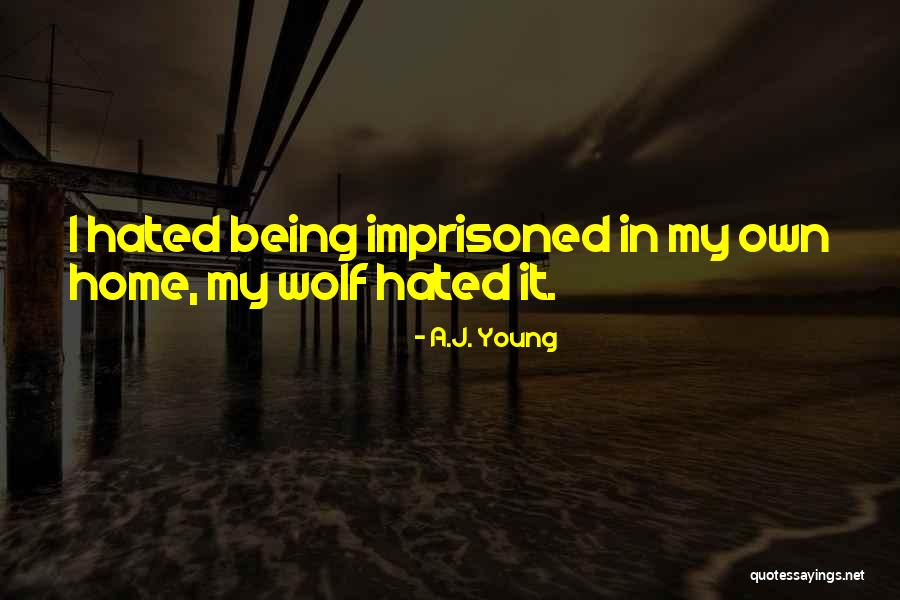 A.J. Young Quotes 188511 A.J. Young Quotes 188511