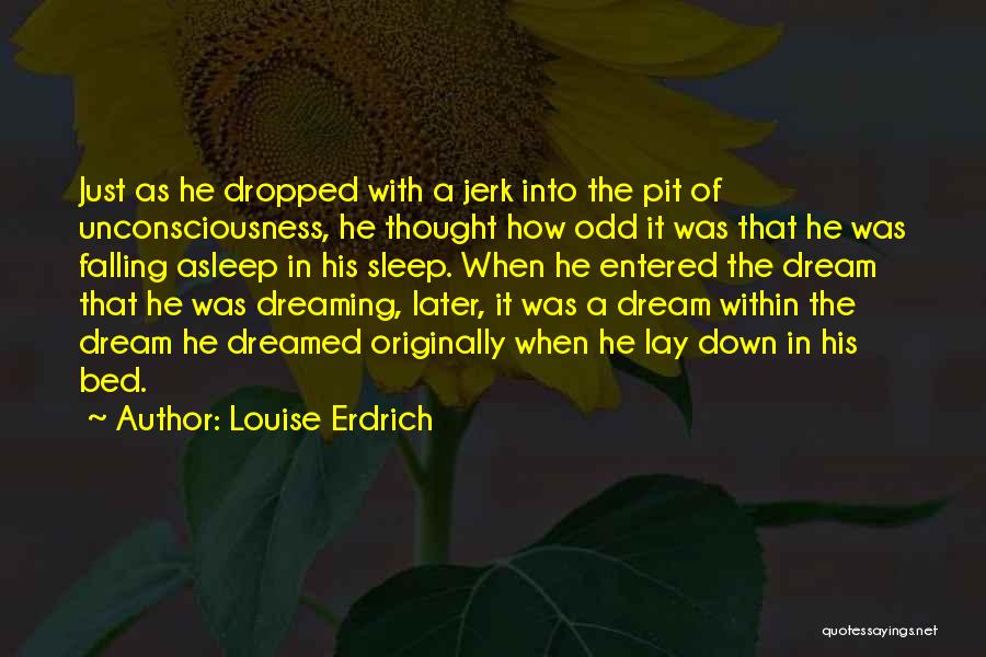 A Jerk Quotes By Louise Erdrich