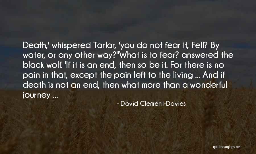 A Journey To The End Quotes By David Clement-Davies A Journey To The End Quotes By David Clement-Davies
