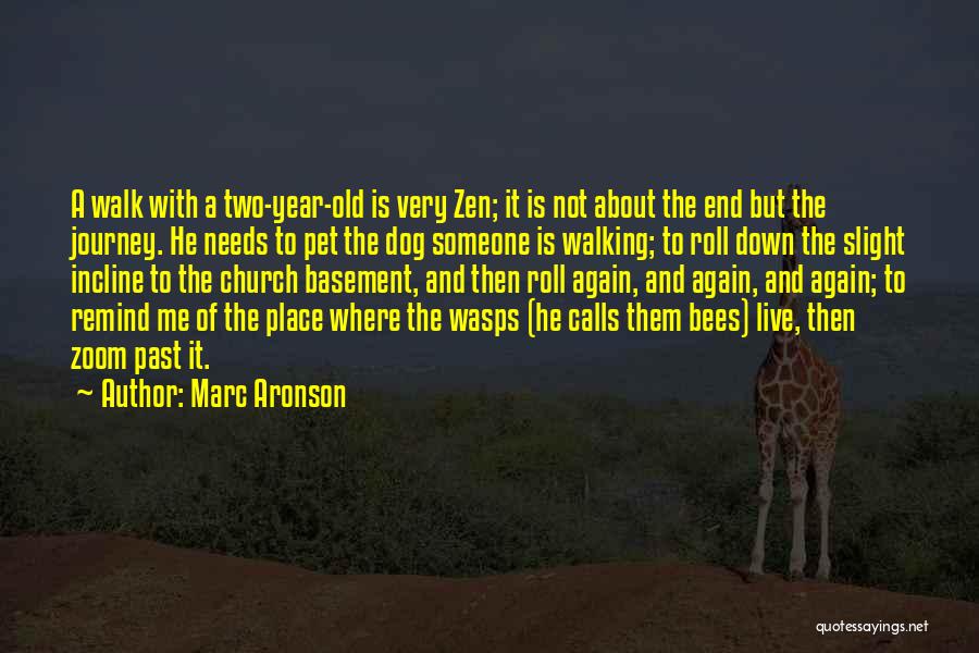 A Journey To The End Quotes By Marc Aronson