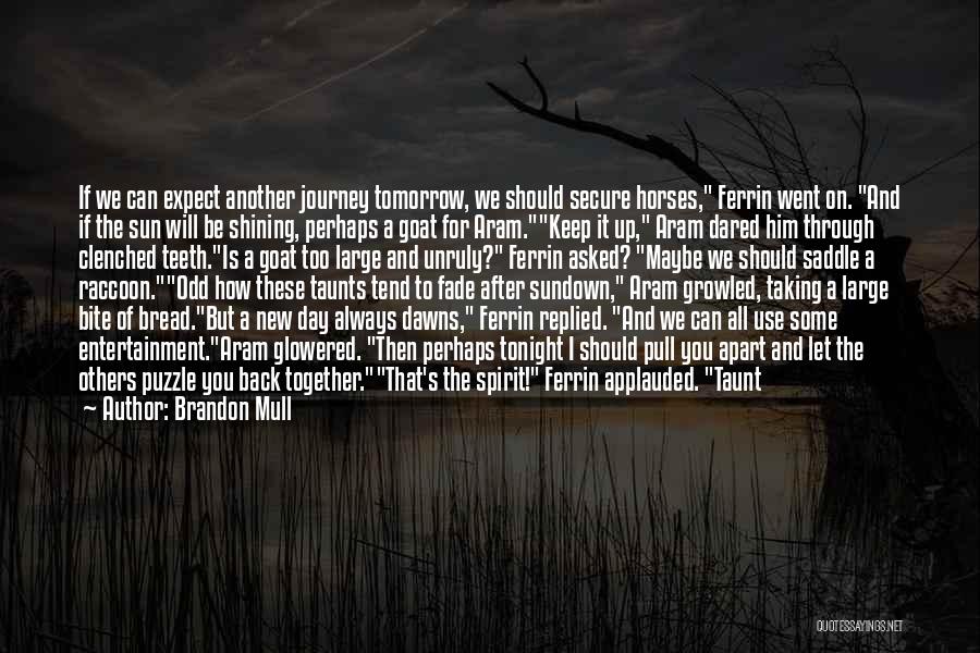A Journey Together Quotes By Brandon Mull