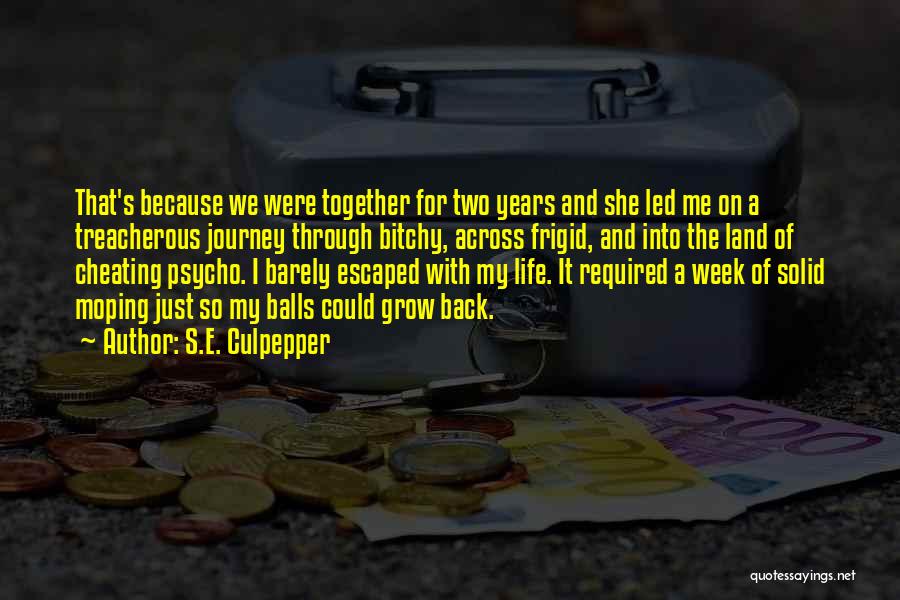 A Journey Together Quotes By S.E. Culpepper