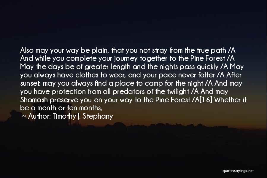 A Journey Together Quotes By Timothy J. Stephany