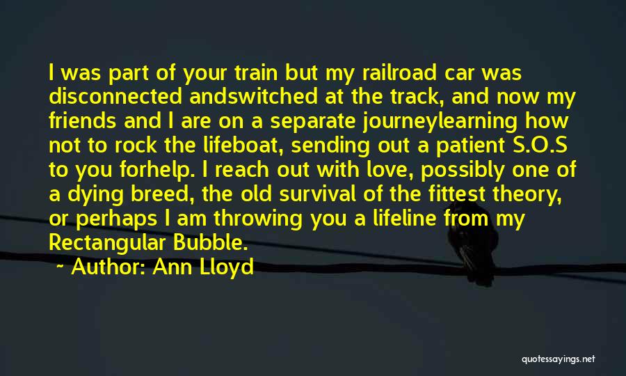 A Journey With Friends Quotes By Ann Lloyd