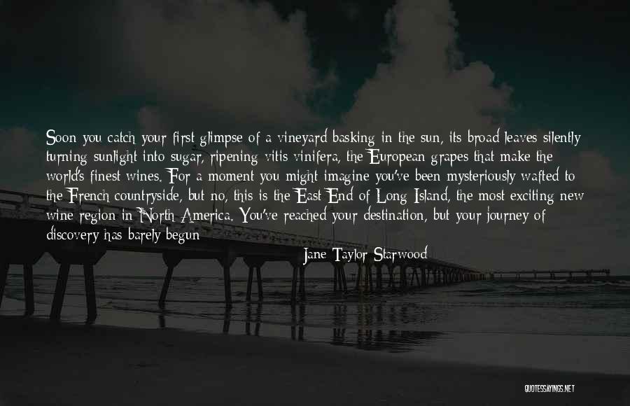 A Journey's End Quotes By Jane Taylor Starwood