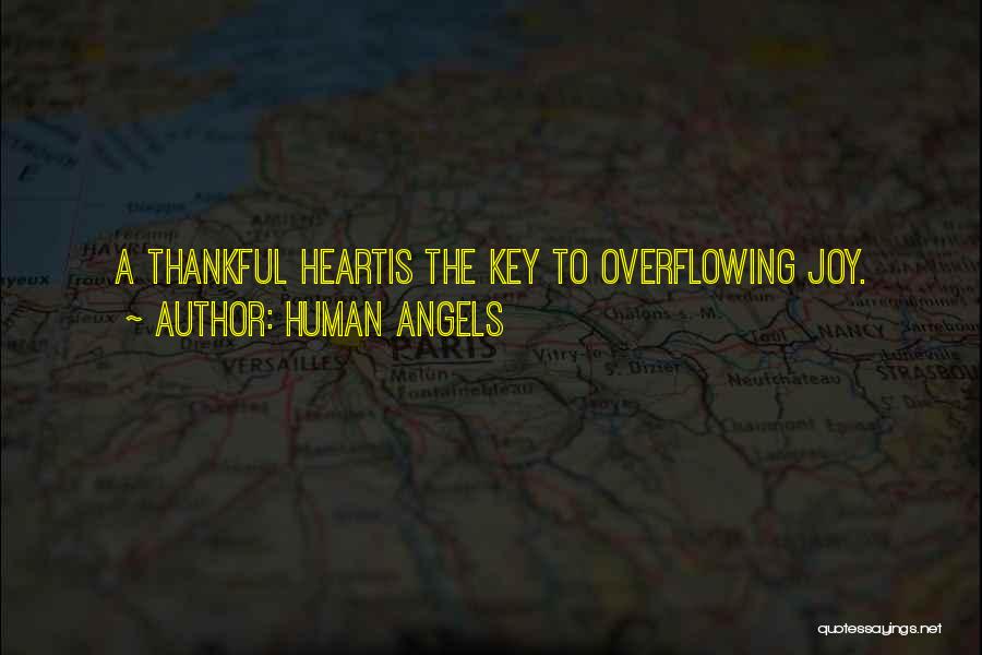 A Joyful Heart Quotes By Human Angels