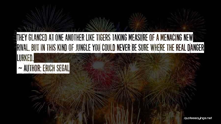 A Jungle Quotes By Erich Segal