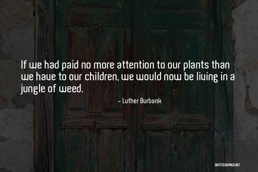 A Jungle Quotes By Luther Burbank