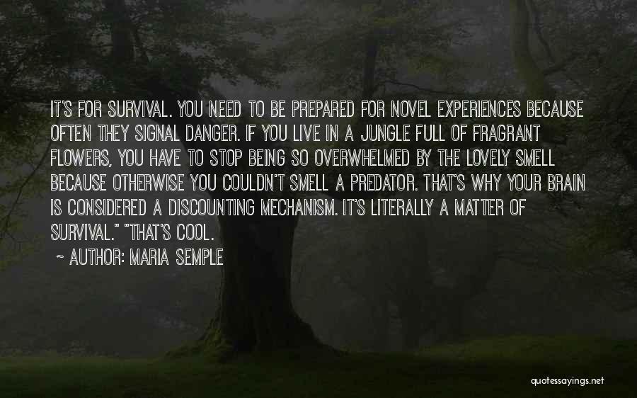 A Jungle Quotes By Maria Semple