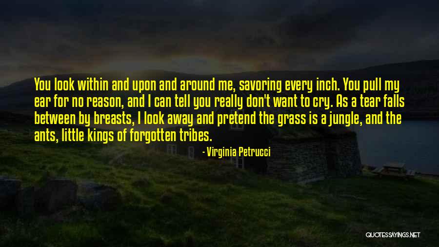 A Jungle Quotes By Virginia Petrucci