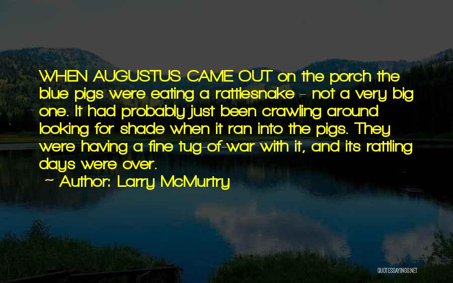 A Just War Quotes By Larry McMurtry