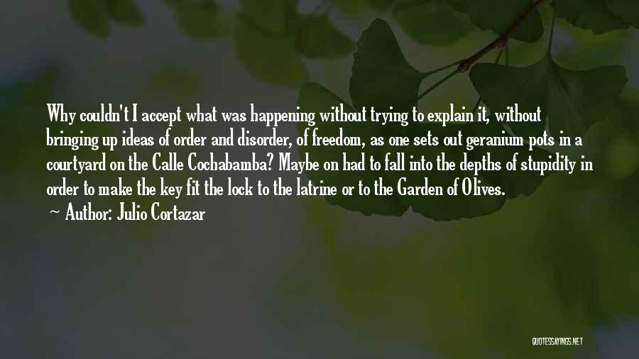 A Key And Lock Quotes By Julio Cortazar